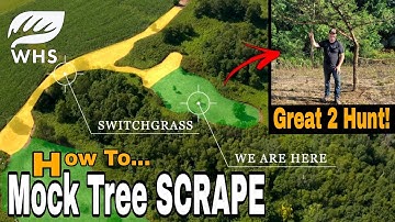 Mock Tree Scrape On Hunting Plot
