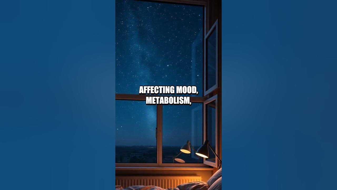 Catch Up On Lost Sleep Meaning