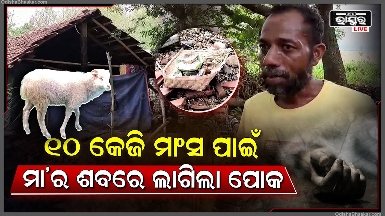 ମରିଯାଇଛି ମାନବିକତା , ମାତ୍ର 10କେଜି ମାଂସ ଦେଇପାରିଲେନି   ବୋଲି ମା  ଶବରେ ଲାଗିଲା ପୋକ