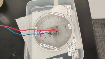 Magnetohydrodynamic Drive