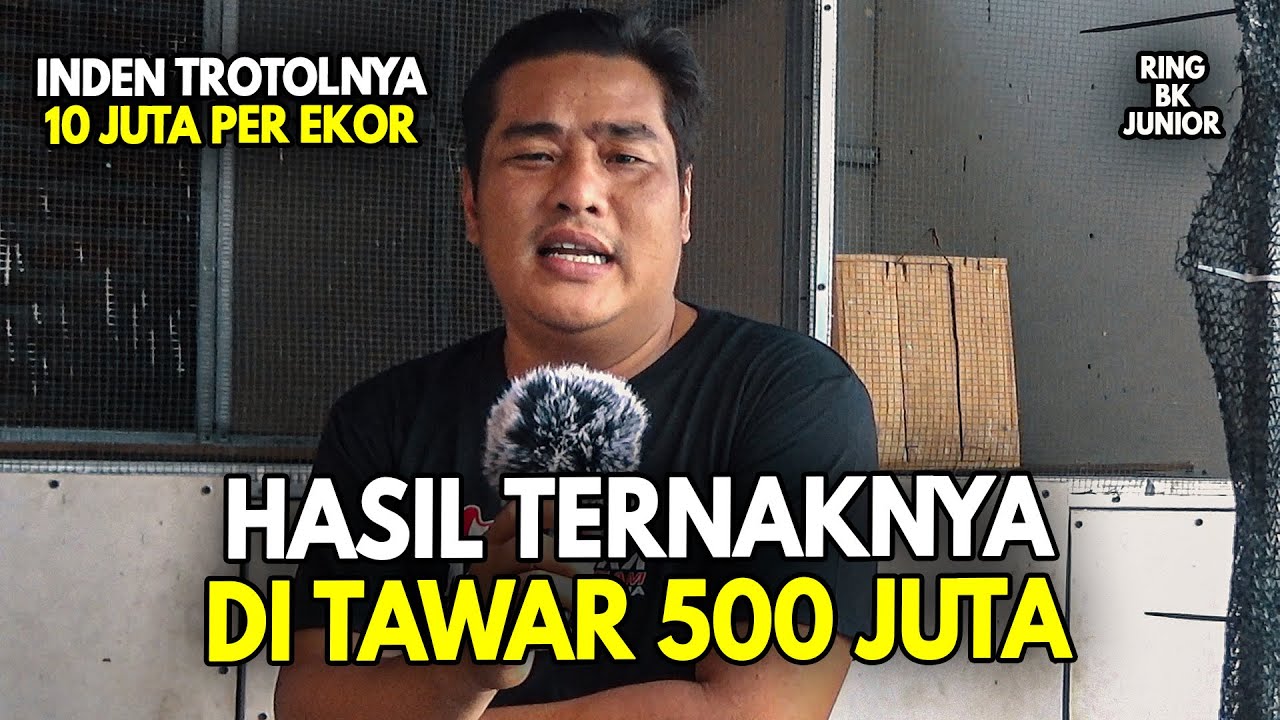 TERNYATA MENCETAK MURAI HYPER ROLL PUKUL PAKAI CARA INI