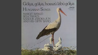 Video thumbnail of "Bela Takacs - Felragyogott a mennybolton a hajnali csillag"