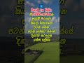 පාඩම් කරන්න හිතෙන්නෙම නැද්ද? මෙන්න සුපිරි විසඳුම් 3ක්! 🔥📚 |  #motivation #studytips #learningtricks