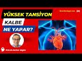 Tansiyon Kalbe ne yapar? Sağlık, Prof.Dr.Serdar Akgün