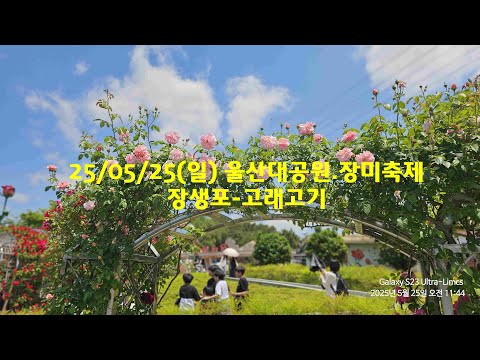 25/05/25 울산대공원 장미축제 장생포 고래고기