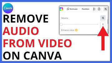 How to Remove Audio From Video on Canva [QUICK GUIDE]