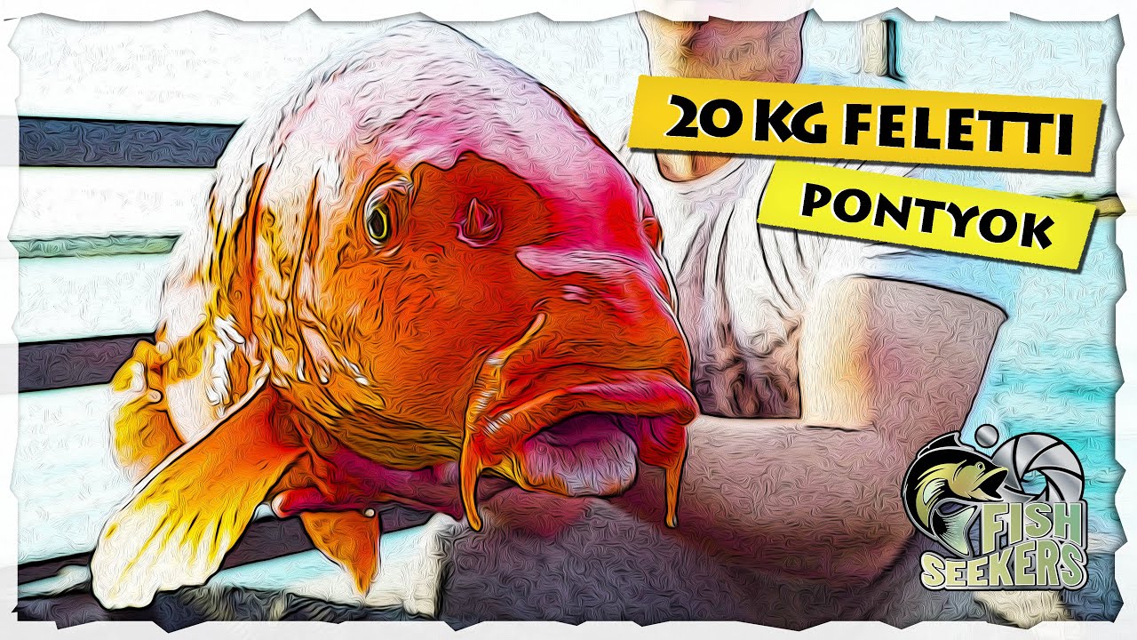 20kg feletti pontyok a wakeboard pálya alól - Carp & Carp tó - 4. faház