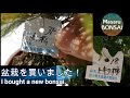 盆栽 川口安行で赤松と常盤柿を買いました。 2020.9.9