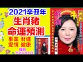 【屬豬】權朗 生肖豬2021年辛丑牛年十二生肖屬豬運程,八字命理詳解