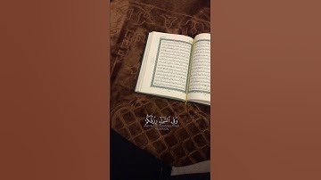 #القرآن_الكريم #quran 🤍💮 #اسلام_صبحي #سورة_الذاريات #راحة_نفسية #حالات_واتس