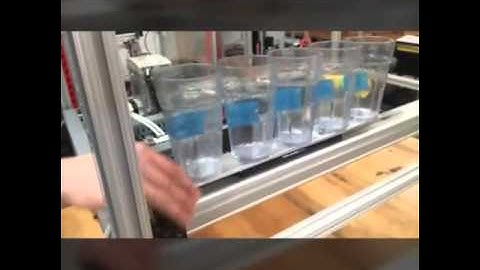 Auto sort final project for Mechatronics