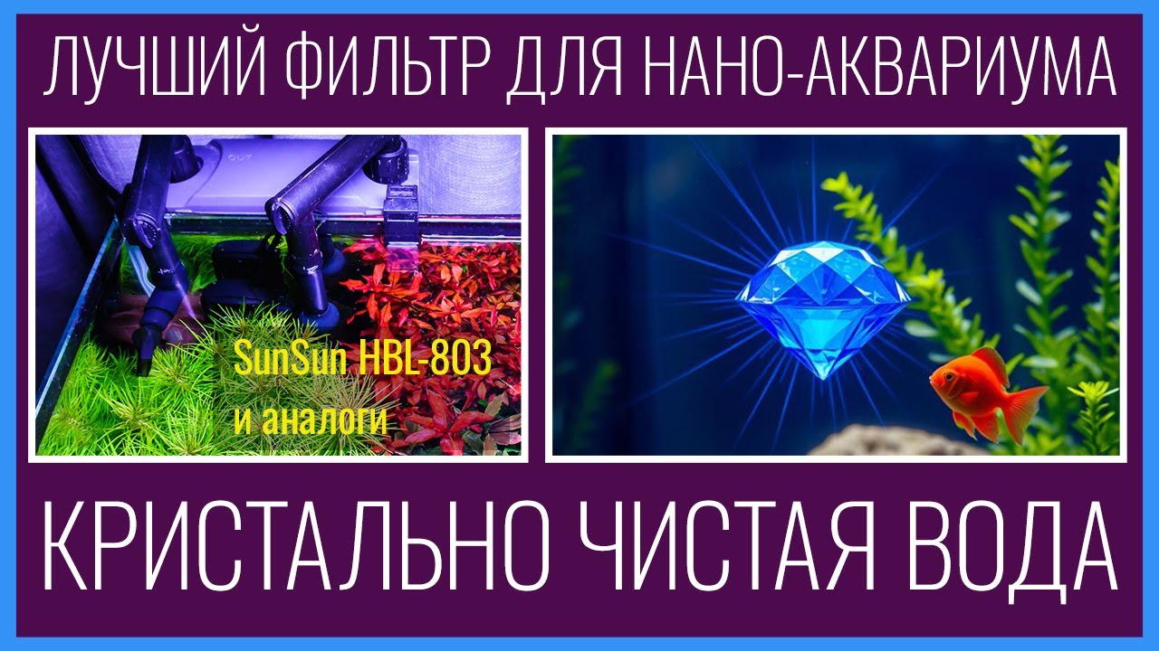 💎 КРИСТАЛЬНО чистая ВОДА в НЕБОЛЬШОМ аквариуме. ⚖️ Фильтр SunSun HBL-803 и сравнение с АНАЛОГАМИ