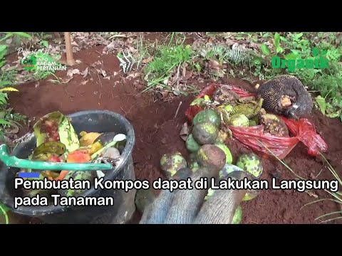 Video: Bisakah Apel Dibuang Ke Lubang Kompos?