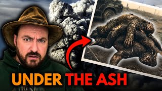 Bigfoot Bodies After Mount St. Helens...What Really Happened