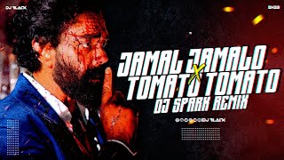 JAMAL JAMALO X TOMATO||SOUND CHECK X VIBRATION MIX||DJ SPARK REMIX 2K23 #soundcheck #djvibrationmix