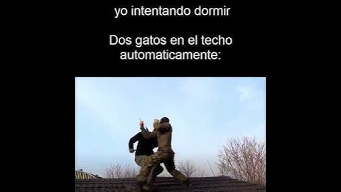 Yo intentando dormir: