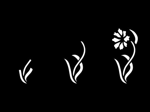 アフターエフェクトでイラストの花が咲くようなアニメーションの作り方 Youtube
