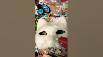 Video of me making calico #antizoo #cat #quadrobics #therian #theriangear #cattherian