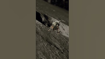 Apollo 11 - final Lunar Module decent