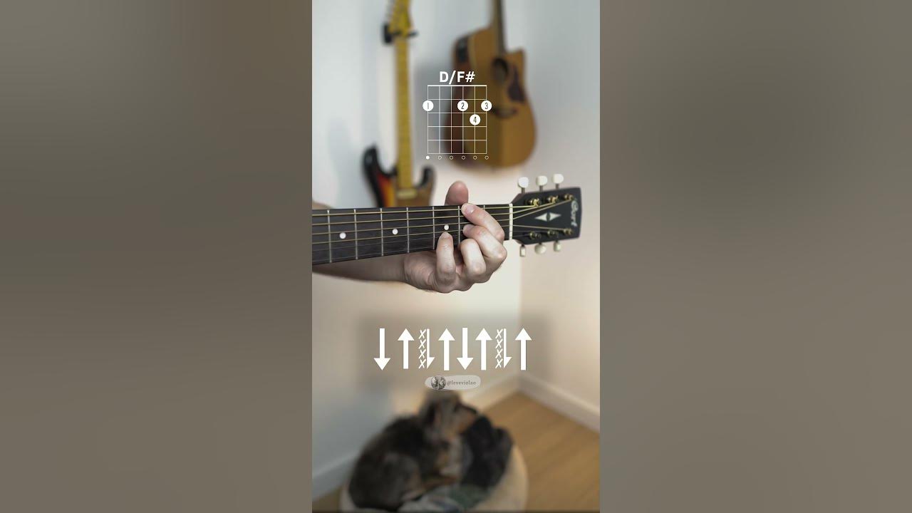 Who'll Stop The Rain - Creedence Clearwater Revival | Chords