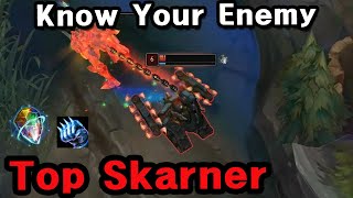 Buffed Again - Top Omnistone Skarner Destroys Grandmasters