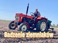 #217- Sadzenie pyrki! Tata za sterami Ursusa c330! (Nowa sadzarka i pompa, zimna piwnica)