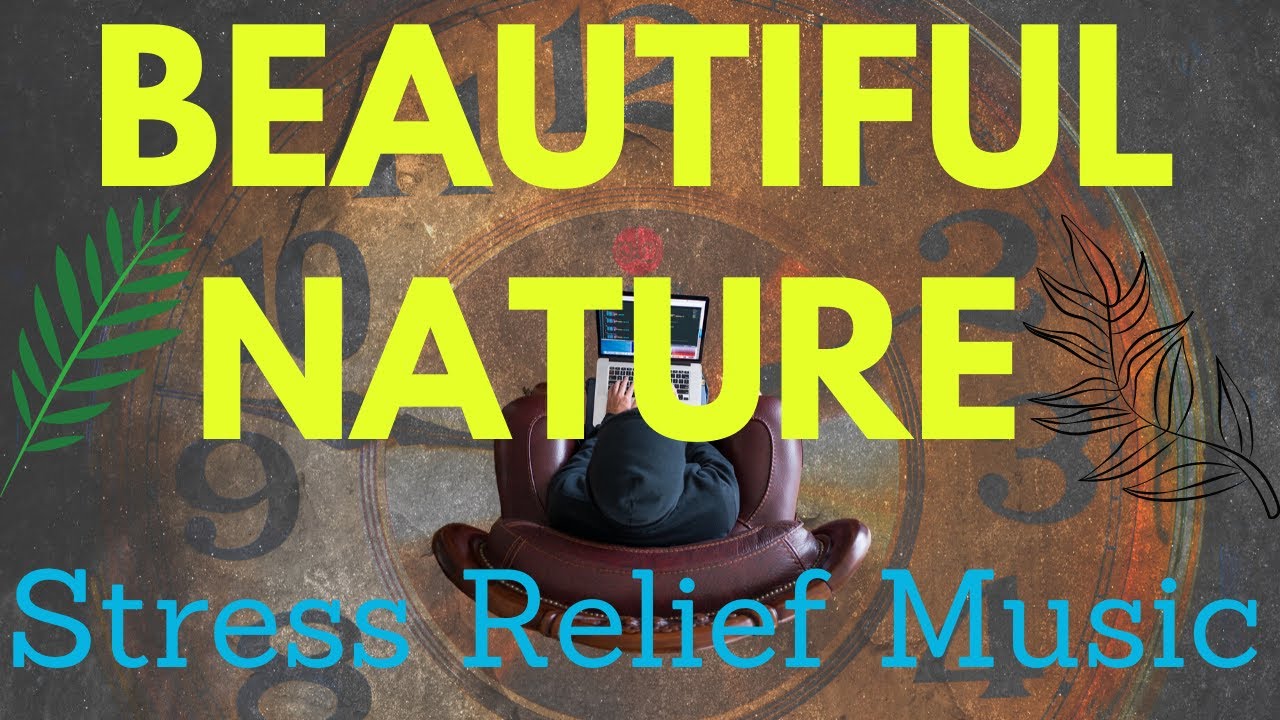 Relaxing Music With Beautiful Nature Stress Relief Soothing Music 2020 Youtube