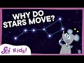 Constellations and Biology Insights in the Night Sky