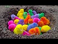 Catch Cute Chicken, Colored Chicken, Rainbow Chicken, Cute Chick, Duck, Rabbit #