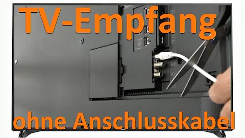 Wie kann ich jetzt Fernsehen ohne Kabel und Schüssel?