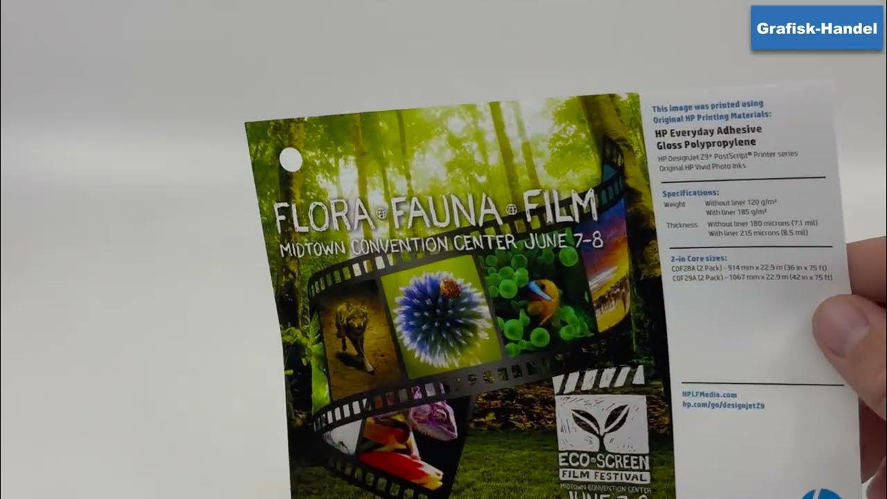 HP Everyday Adhesive Gloss Polypropylene YouTube