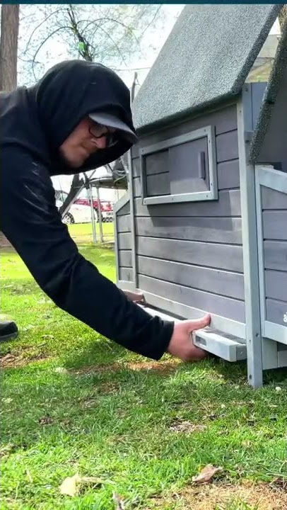 Amazing Chicken Coop For Beginners! Aivituvin AIR45