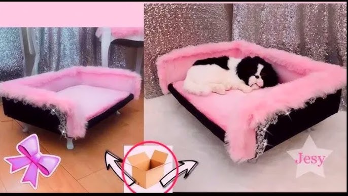 CASA PARA MASCOTAS🐶🐱QUE HACER con CAJAS DE FRUTAS🍇 DE PLÁSTICO