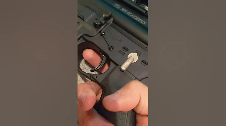 geissele ssa-e, one good, one bad