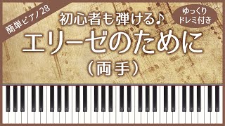 【簡単ピアノ28】【両手】エリーゼのために（ベートーヴェン）・初心者向け・初級・ゆっくり・ドレミ付き・練習用・保育ピアノ