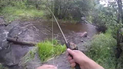 5 Reasons to Hunt and Fish Arizona Right Now