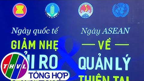 Ngày Quốc tế giảm nhẹ rủi ro thiên tai