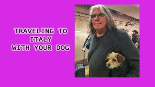 ITALY: Traveling with your Dog to Italy