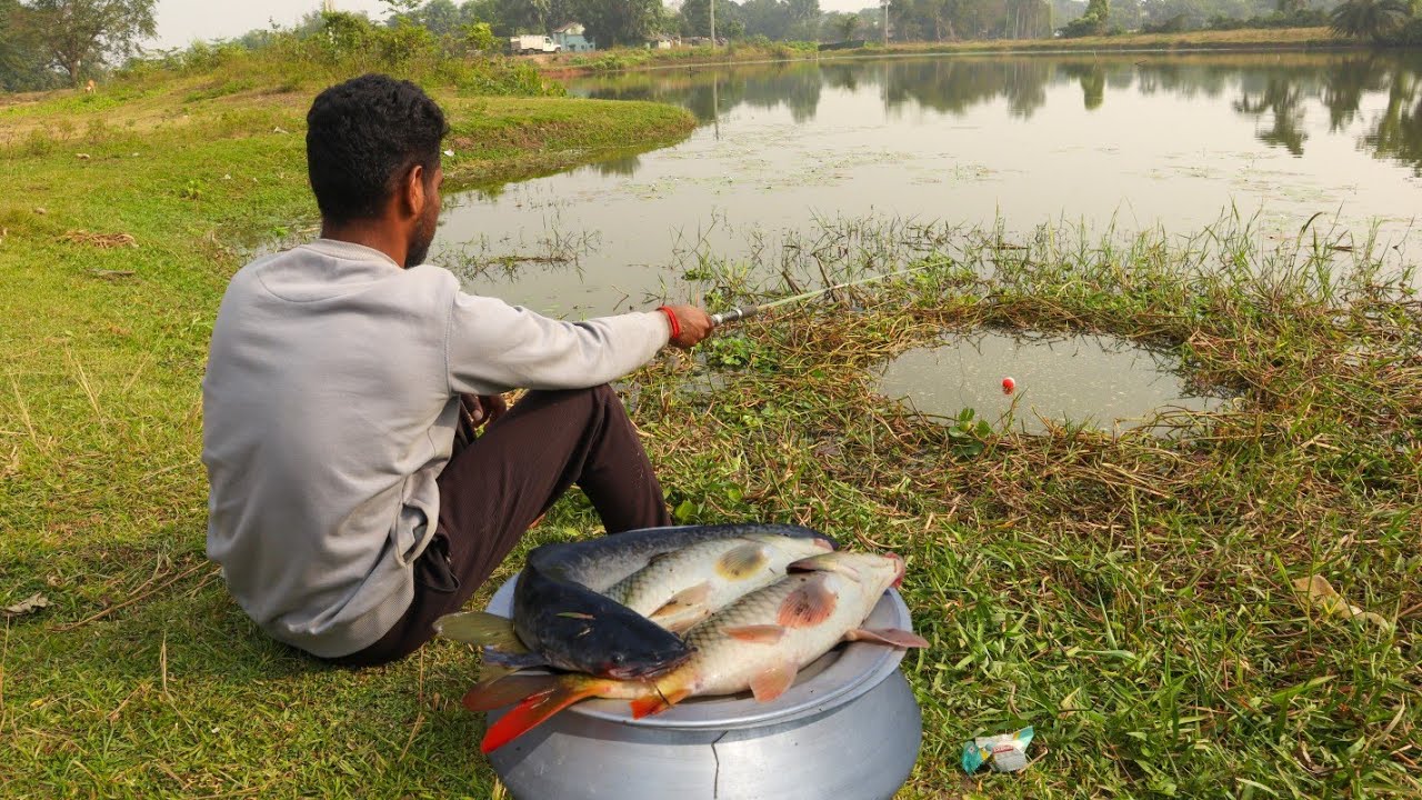 Fishing Video 🦈🎣 || I would not have believed if I had not seen so many fish in the village Pond