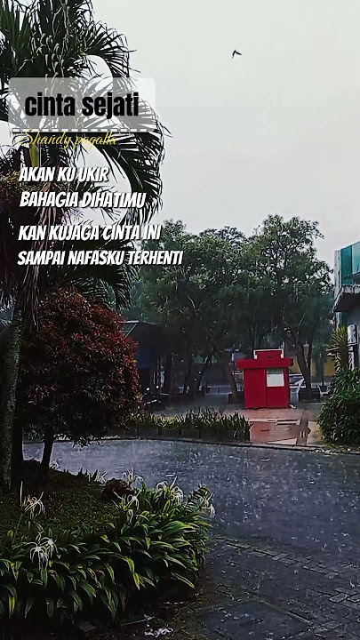 akan ku ukir bahagia dihatimu #shandypagalla #cintasejati #music #laguviral2025 #trendingsong