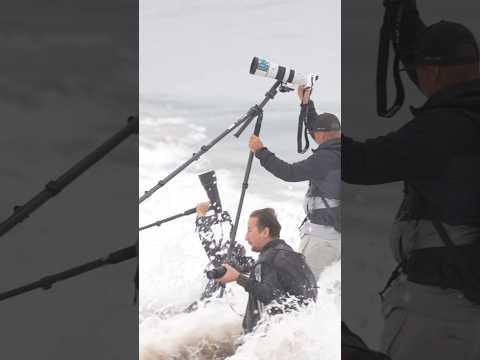 Photgraohers Hit By Rogue Wave at The Wedge #beach #ocean # waves