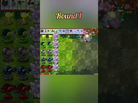 professor z vs