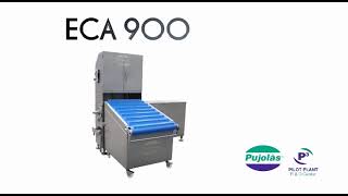 Pujolàs ECA900 med laster