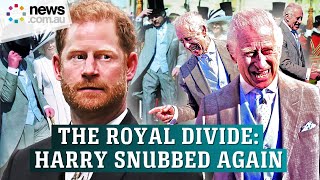 Prince Harry snubbed by Royals while King Charles beams at Palace party