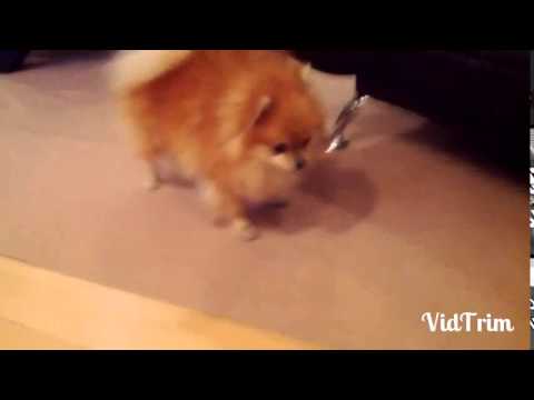 მოზი დუმილს არღვევს!