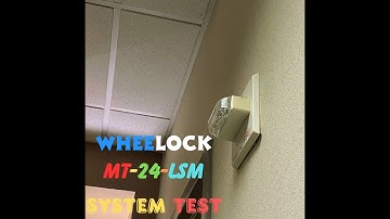 🚨🚨🚨Wheelock MT-24-LSM-System Test🚨🚨🚨