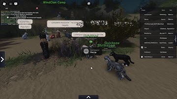 Lichenpaw! | JOIN ME ON WARRIOR CATS: ULTIMATE EDITION [ROBLOX]