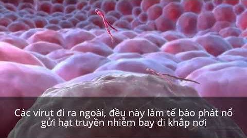Ebola Virus Mechanism of Action 3D Medical Animation ( Việt )