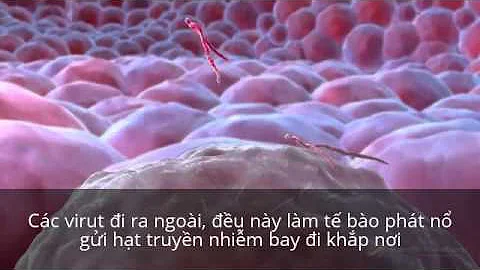 Ebola Virus Mechanism of Action 3D Medical Animation ( Việt )