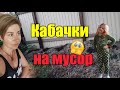 Садовод-профессилнал👍//Работаю в теплице//Кошу газон//Уборка перепелятника